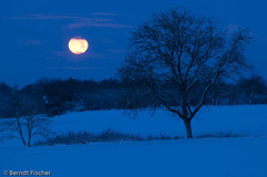 Monduntergang  - Zum Vergroessern klicken!